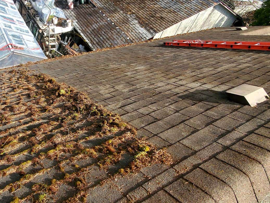 Cleaning moss from roof shingles to restore asphalt shingles